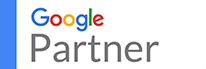e-startupindia Google Partner